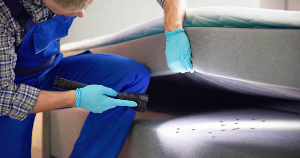 Best Affordable Pest Control Services  in , AR