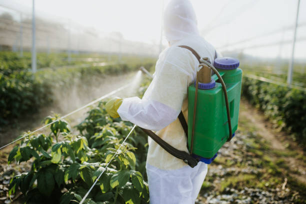 Best Pest Control Near Me  in , AR
